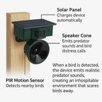 Bird Repeller Solar-Powered Motion-Activated Sound Deterrent