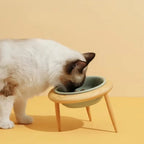 Cat Bowl Adjustable Height Ceramic Oak Stand