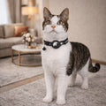 Cat Collar Reflective Adjustable GPS Tracker Holder
