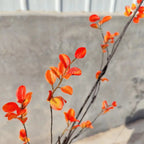 Floral Stem Lifelike Maintenance-Free