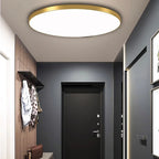Flush Mount Light Ultra-Slim Integrated LED Acrylic Diffuser