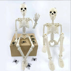 Hanging Skeleton Posable & Weather-Resistant 15.7 Inch