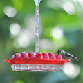 Hummingbird Feeder Raised Hexagonal Ports Bee-Resistant