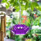 Hummingbird Feeder Raised Hexagonal Ports Bee-Resistant