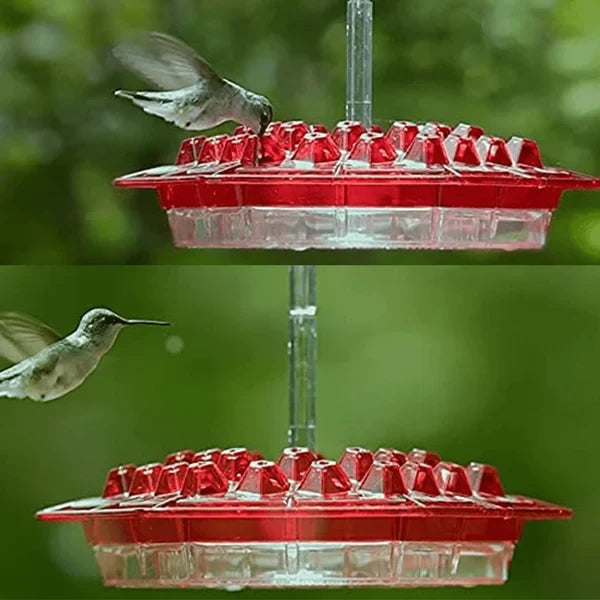 Hummingbird Feeder Raised Hexagonal Ports Bee-Resistant