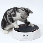 Interactive Cat Toy Moving Mouse Track & Felt Scratcher
