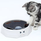 Interactive Cat Toy Moving Mouse Track & Felt Scratcher