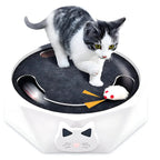 Interactive Cat Toy Moving Mouse Track & Felt Scratcher