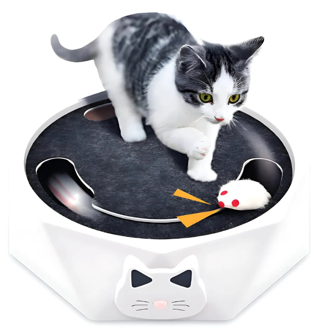Interactive Cat Toy Moving Mouse Track & Felt Scratcher