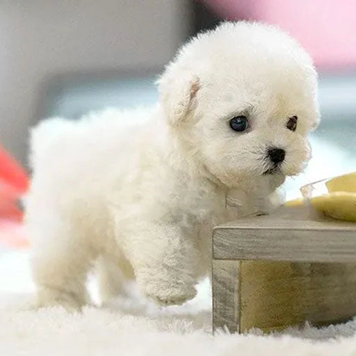 Interactive Puppy Plush Realistic Movement & Sound