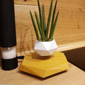 Levitating Planter Magnetic Hexagonal Base
