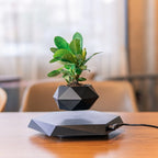 Levitating Planter Magnetic Hexagonal Base