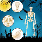 Mini Skeleton Decorations Poseable Matte Plastic Hanging Loop