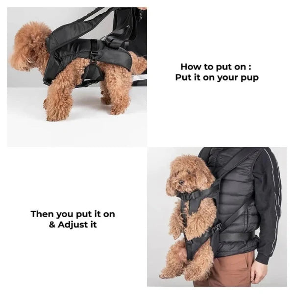 Pet Carrier Backpack Secure Multi-Closure Chest & Back Wearable