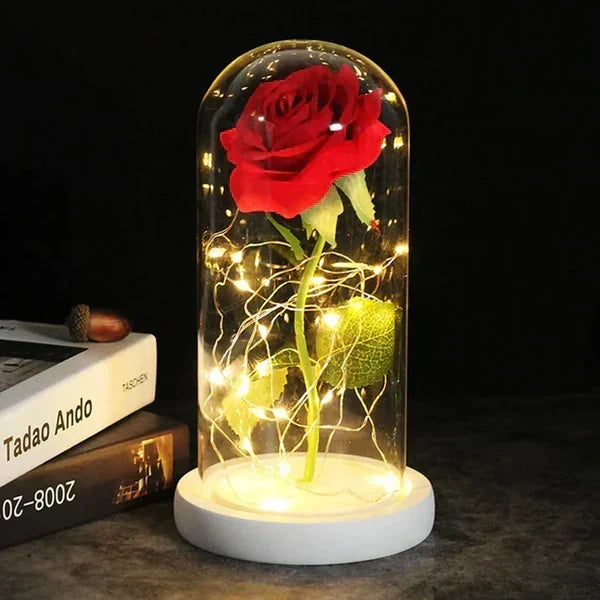 Preserved Rose Display Clear Dome LED Lighted Base