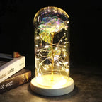 Preserved Rose Display Clear Dome LED Lighted Base