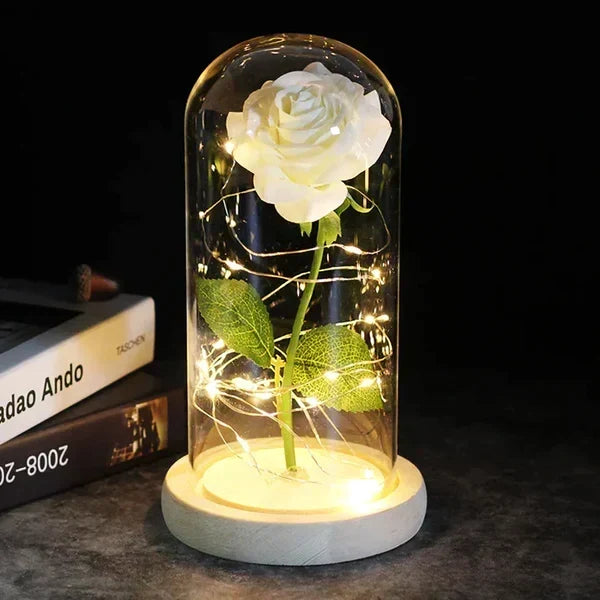 Preserved Rose Display Clear Dome LED Lighted Base