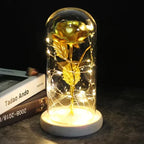 Preserved Rose Display Clear Dome LED Lighted Base