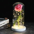 Preserved Rose Display Clear Dome LED Lighted Base