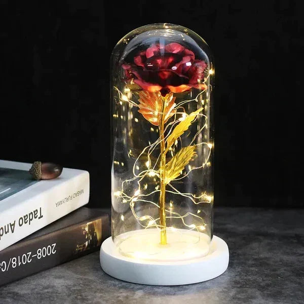 Preserved Rose Display Clear Dome LED Lighted Base