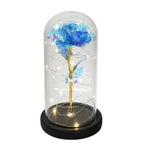 Preserved Rose Display Clear Dome LED Lighted Base