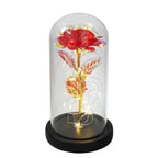 Preserved Rose Display Clear Dome LED Lighted Base