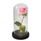 Preserved Rose Display Clear Dome LED Lighted Base