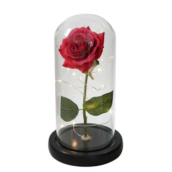 Preserved Rose Display Clear Dome LED Lighted Base