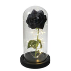 Preserved Rose Display Clear Dome LED Lighted Base