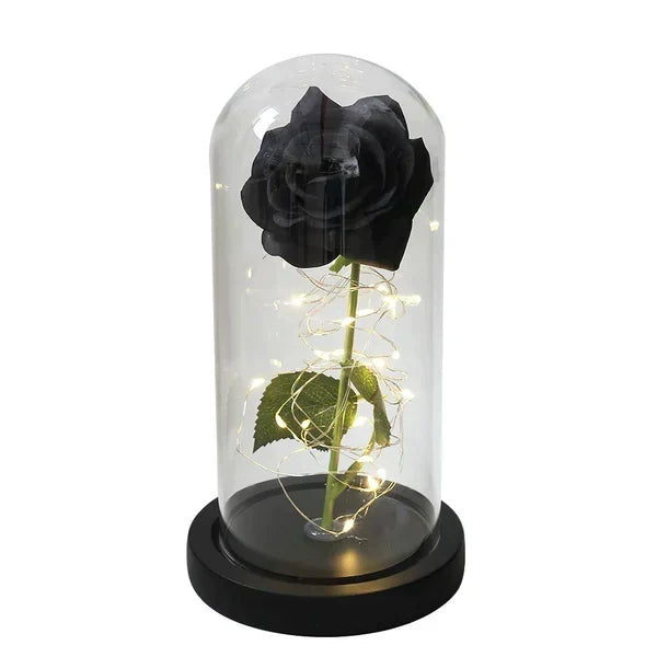 Preserved Rose Display Clear Dome LED Lighted Base