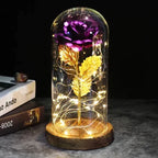 Preserved Rose Display Clear Dome LED Lighted Base