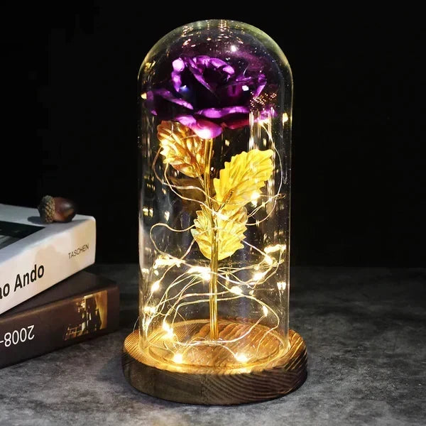 Preserved Rose Display Clear Dome LED Lighted Base