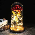 Preserved Rose Display Clear Dome LED Lighted Base