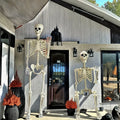 Skeleton 5.5ft Posable Joints & Included Stand