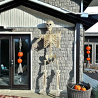 Skeleton 5.5ft Posable Joints & Included Stand