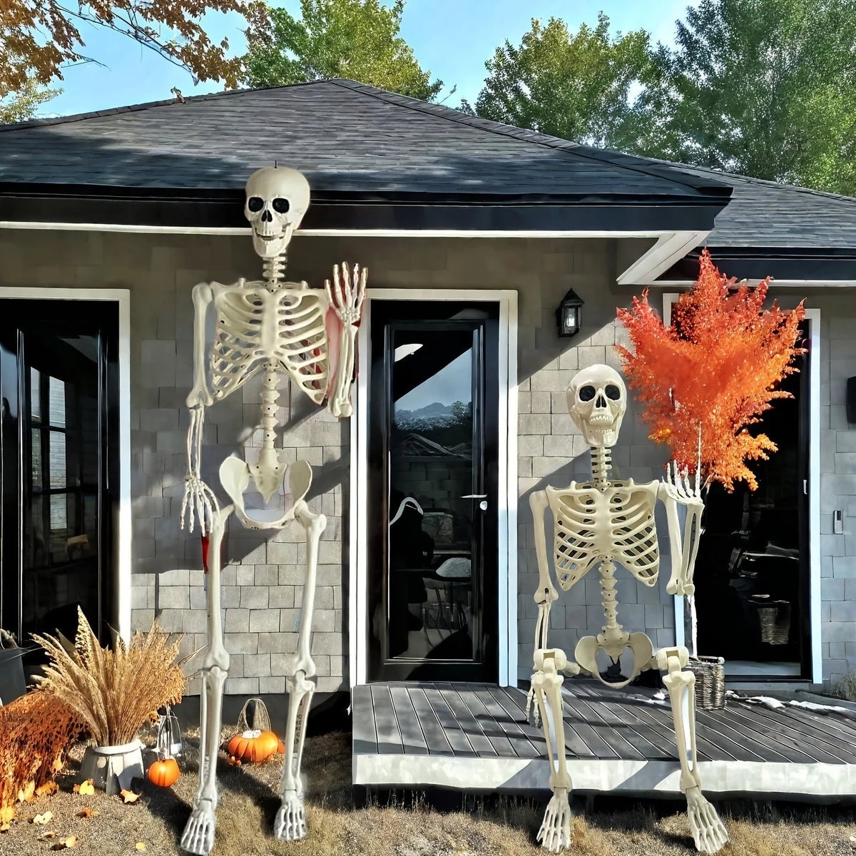 Skeleton 5.5ft Posable Joints & Included Stand