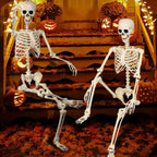 Skeleton 5.5ft Posable Joints & Included Stand