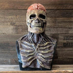Skeleton Costume Realistic Full-Face Mask & Matching Hat