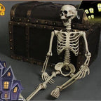 Skeleton Decoration Full-Body Posable 67 Inch