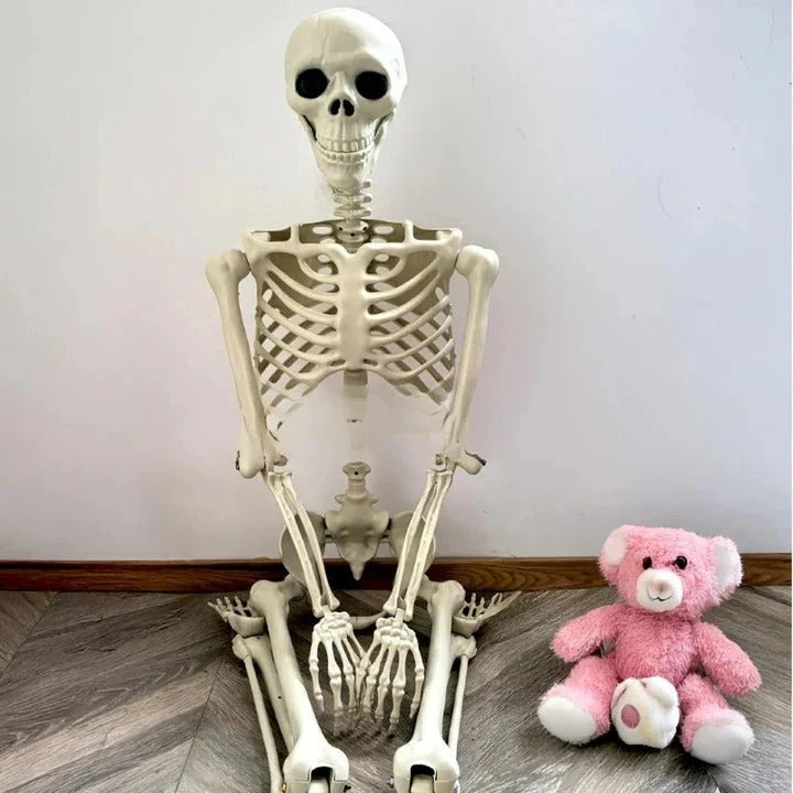 Skeleton Decoration Full-Body Posable 67 Inch