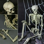 Skeleton Decoration Poseable Hinged Joints ABS Plastic 16 Inch