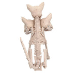 Skeleton Decoration Three-Headed Cerberus Polyethylene 16.5 Inch
