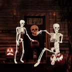 Skeleton Figure Realistic Fully Posable Articulated Joints