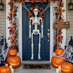 Skeleton Life-Size Poseable Movable Jaw