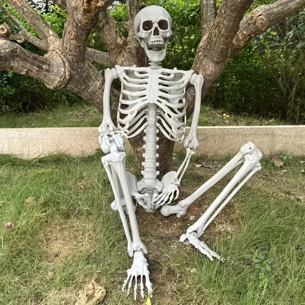 Skeleton Life-Size Poseable Movable Jaw