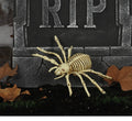 Skeleton Spider Lightweight & Durable PVC 9.5 Inch