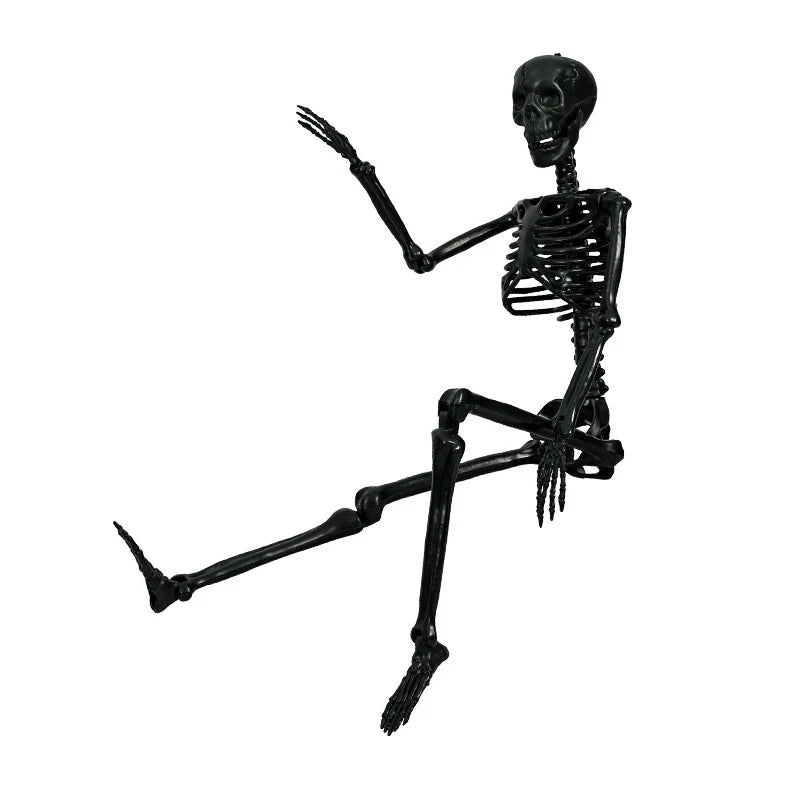 Skeleton Statue Life Size 90cm Lifelike Poseable