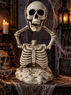 Skeleton Torso Movable Jaw 15.7 Inch Plastic