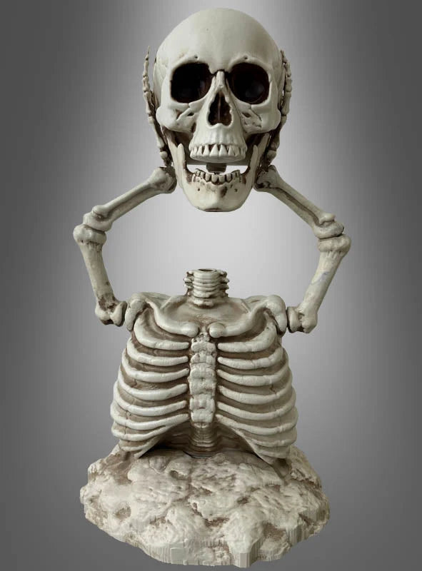 Skeleton Torso Movable Jaw 15.7 Inch Plastic