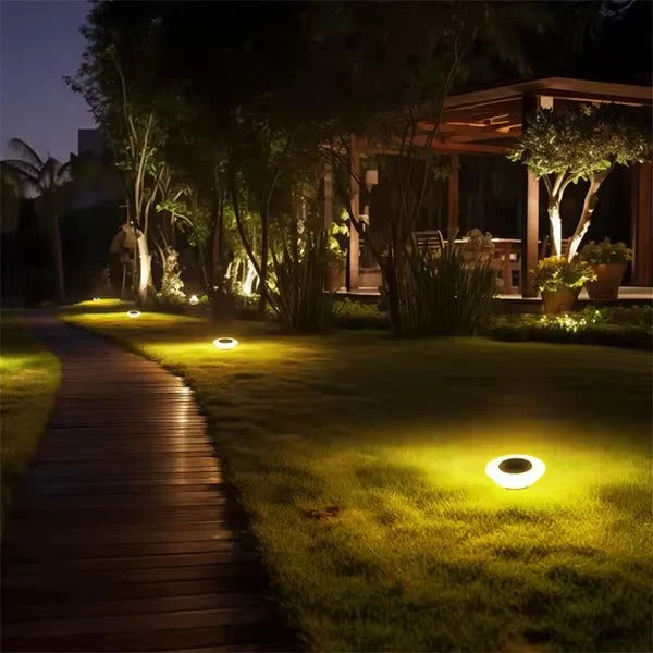 Solar Pathway Lights Dusk-To-Dawn Warm & Cool